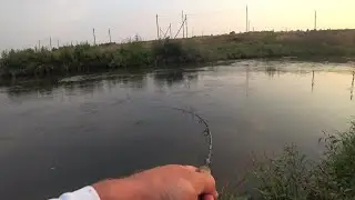В ТАКУЮ ПОГОДУ СИДЯТ ДОМА!!! +44, БЕШЕННЫЙ ВЕТЕР!  ЕДЕМ ЗА ГОЛАВЛЕМ! Голавль на жука
