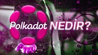 Polkadot (DOT) Nedir? Polkadot Parachain Auction Nedir?