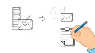 How do invalid, catch-all, disposable, free and role-based email addresses affect your campaign?