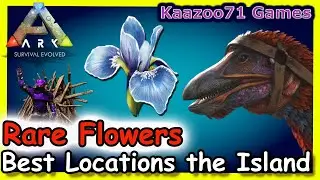 Rare Flower Locations on the Island Ark 💥