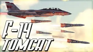 F-14 TOMCAT IS HERE | F-14 Live Server Gameplay