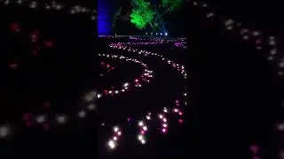 I went to a light show!