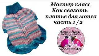 МК Как связать платье для мопса ч1.