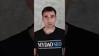 Влияет ли яндекс директ на SEO продвижение сайта?