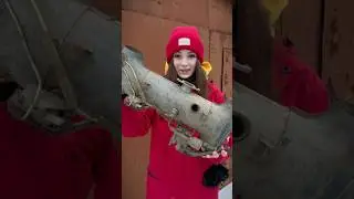 Кто угадает ЧТО это и откуда?😏