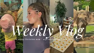 WEEKLY VLOG| trip to NY + family zoo day + why I stopped vlogging + reflecting on my past & more!