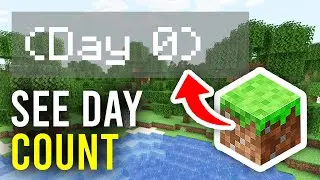 How To See Day Count In Minecraft - Full Guide