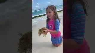 Вика ест водоросли😱😁Vika eats algae🌱  