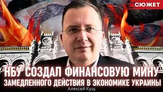 Алексей Кущ: НБУ заложил финансовую мину замедленного действия под экономикой Украины