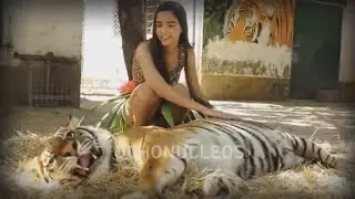 katy perry roar video clip fiesta15 años Otilia  (Version OchoNucleos)