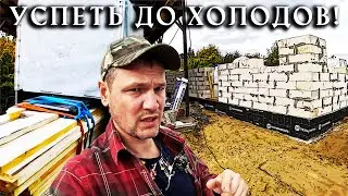 Brought TONS of wood for the ceiling of the new HOUSE. How are the walls shaping up?