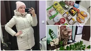 Обзор покупок🛒. Пополнила коллекцию тарелок🥰ЧП с новым окном🤨. Общаюсь с Джесси🐈‍⬛