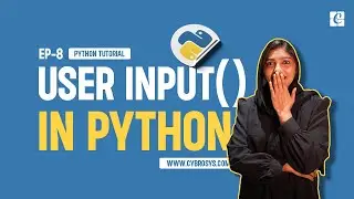 Take User Input () in Python | EP-8 User Input in Python | Input Function in Python | Python Videos