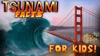 Tsunami Facts for Kids!