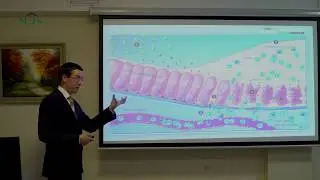 Инфекция Clostridium difficile