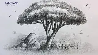 How to draw Tree in Nature Landscape Art || Pencil Art