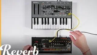 Introducing The Roland Boutique Series TR-08 and SH-01A | Reverb.com