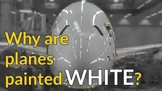 REASON WHY PLANES ARE PAINTED WHITE! Explained by CAPTAIN JOE