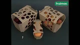 Оборудование для упаковки в эко-лотки Frutmac Zippmatic