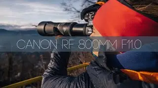 CANON RF 800 mm F11- watch this before you buy!