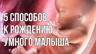 5 Способов Родить Умного Ребёнка.