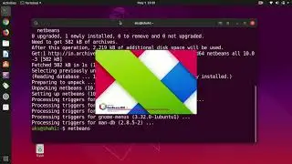 How to install netbeans 11 on Ubuntu 18.04/20.04 - Linux