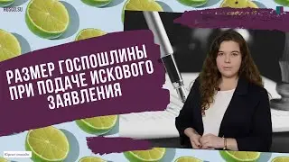 Размер госпошлины при подаче искового заявления в суд