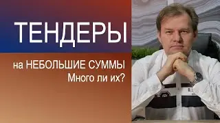 Сколько тендеров на НЕБОЛЬШИЕ СУММЫ Вам доступно прямо сейчас? Госзакупки. Тендер.