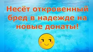 Деревенский дневник очень многодетной мамы \ Несёт откровенный бред в надежде на новые донаты! Обзор