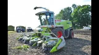 CLAAS JAGUAR 900 + CLAAS ORBIS 750 заготовка кукурузы на силос  в Украине - 2018 | КЛААС ЯГУАР