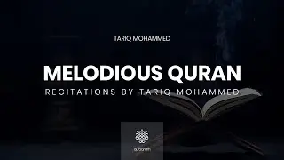 All Quran Recitations by Tariq Mohammed | طارق محمد