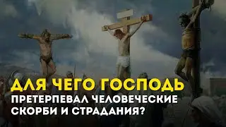 Для чего Господь претерпевал человеческие скорби и страдания?