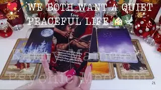 💖🪄WE BOTH WANT A QUIET PEACEFUL LIFE 🏡🕊️FILLED W/LOVE, RESPECT & LOYALTY😇🪄COLLECTIVE LOVE TAROT 💓✨