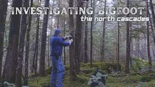 Investigating Bigfoot  |  The North Cascades