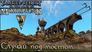 Morrowind Tamriel Rebuilt - Случай под мостом, #199 (261)