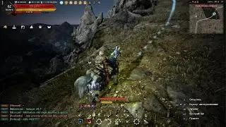 Black Desert