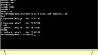 Linux and Unix Basics : Comparing Files