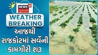 Rajkot News | આજથી રાજકોટમાં સર્વેની કામગીરી શરૂ | Heavy Rain | Monsoon | Crop Damage | Rain Update