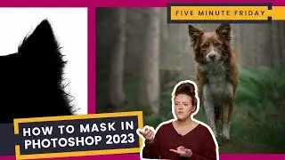 How to Mask Fur and Hair in Photoshop CC 2023 | Another Update for Masking in Photoshop!