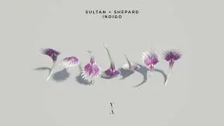 Sultan + Shepard - Indigo