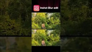 How To Edit Background Blur | Inshot Video Editor Tutorial 