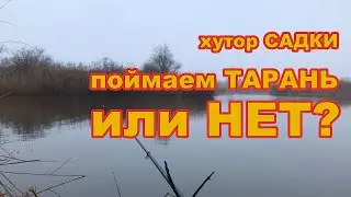 Зашла ли тарань? РЫБАЛКА хутор САДКИ.  зима 2021 /// Рыбалка на кубани 2021 /// Выпуск № 20