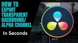 Davinci Resolve - How To Export with Transparent Backround, AKA Alpha Channel