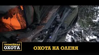 Охота на Благородного Оленя | Трофейная охота №49