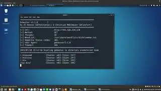 Linux Enumeration: Getting familiar with Gobuster