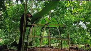 9 DAYS of solo survival bushcraft (NO FOOD, NO WATER) (CATCH & COOK) Build a Shelter Survival