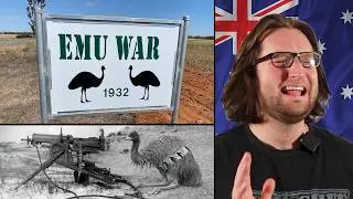 The emu war explained by an Australian