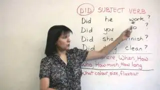 Basic English Grammar - Past Tense Questions