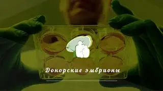 Донорские эмбрионы