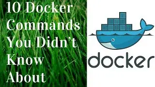 10 Docker Commands EVERY Developer Should Know